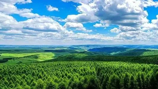 微信图片_20230620114329.jpg 微信图片_20230620114329.jpg